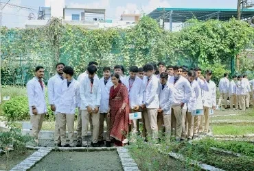 Internship Opportunities