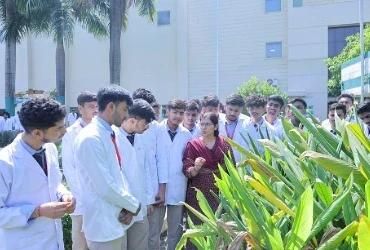 Internships and Industrial Training