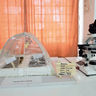 Horticulture and Plant Breeding Lab