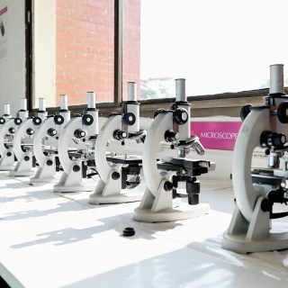 Human Anatomy &amp; Physiology Lab